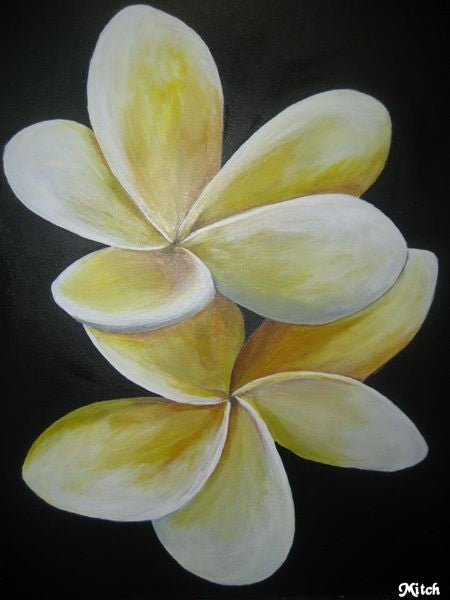 Kit de Pintura (12x16) - Flores_021_Frangipani