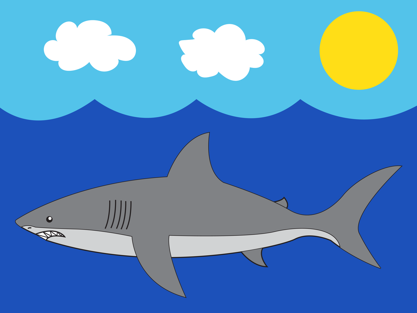 Kit de Pintura (12x16) - Marinos_12_Swimming Shark